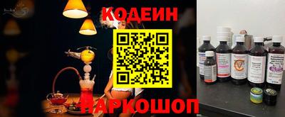 индика Гусев