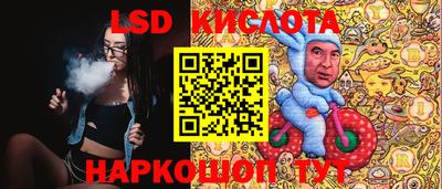индика Гусев