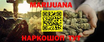 индика Гусев