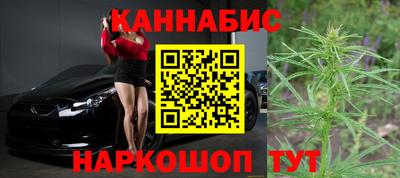 индика Гусев