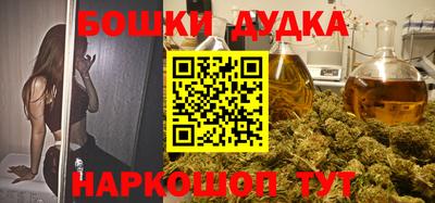 индика Гусев