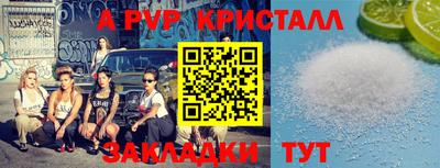 индика Гусев