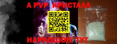 индика Гусев