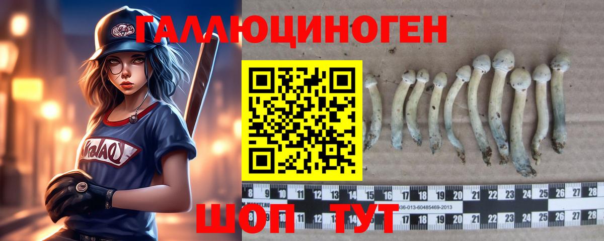 Галлюциногенные грибы GOLDEN TEACHER  Вход с VPN  Нефтекамск 